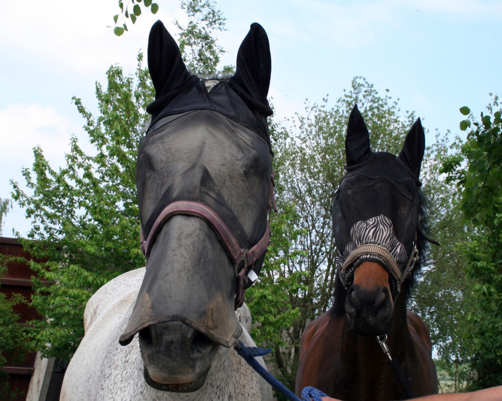 PROČ MASKA S UV OCHRANOU?