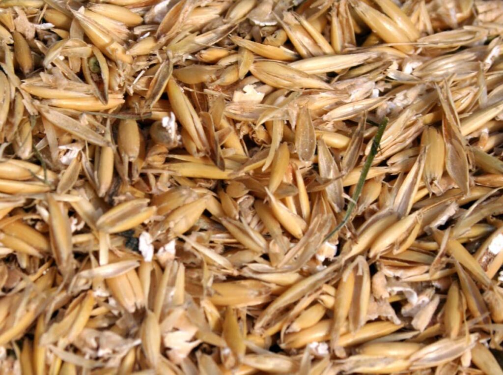 PROČ NENÍ TŘEBA BÁT SE OVSA