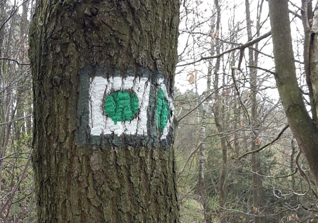 HIPOSTEZKY NA VYSOČINĚ