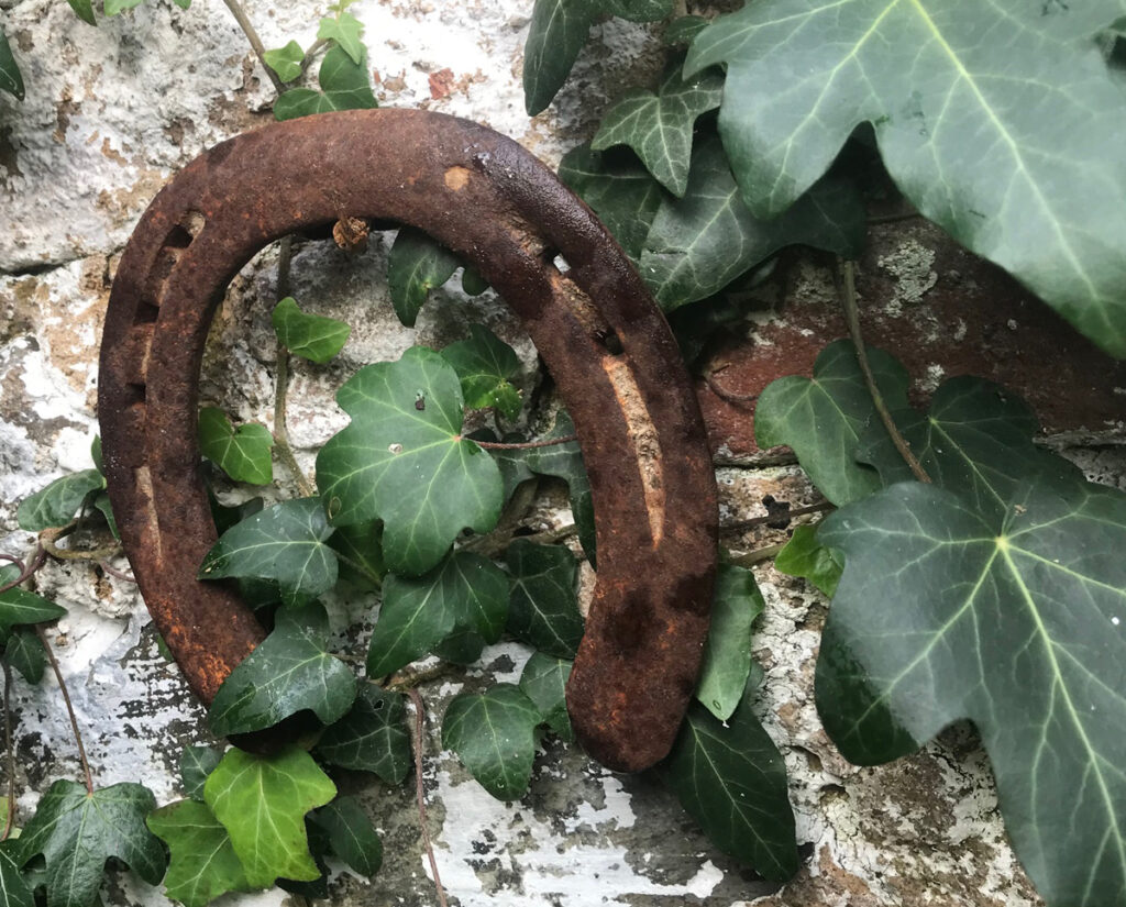 PODKOVA PRO ŠTĚSTÍ