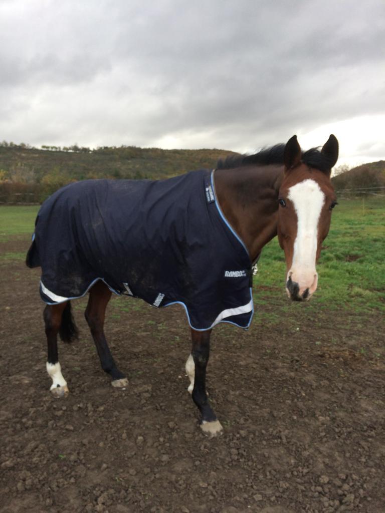 JAK VYBRAT SPRÁVNOU VELIKOST DEKY