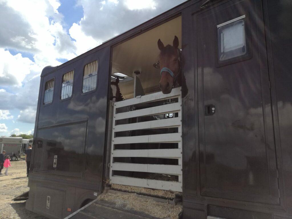 VEZEME KONĚ – TIPY PRO NAKLÁDÁNÍ A CESTU