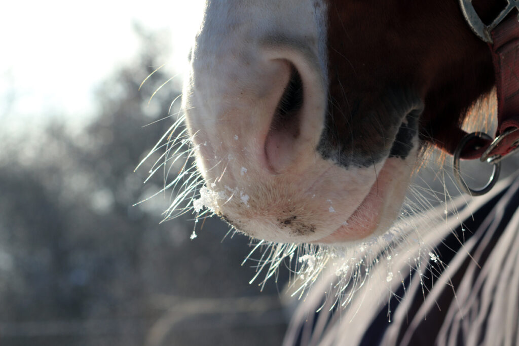 DUŠNOST – NEMOC, KTERÁ ZŮSTANE