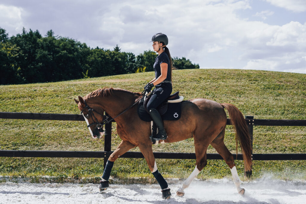 KOLIK KALORIÍ SPÁLÍTE NA KONI