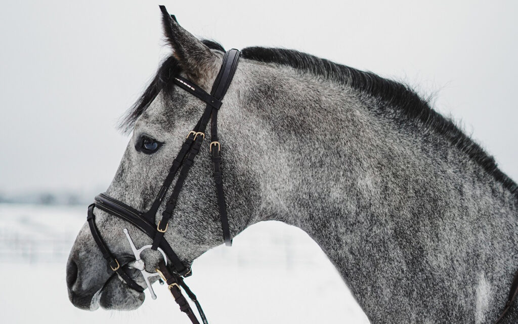 UZDA, UZDEČKA – VŠE MUSÍ PASOVAT