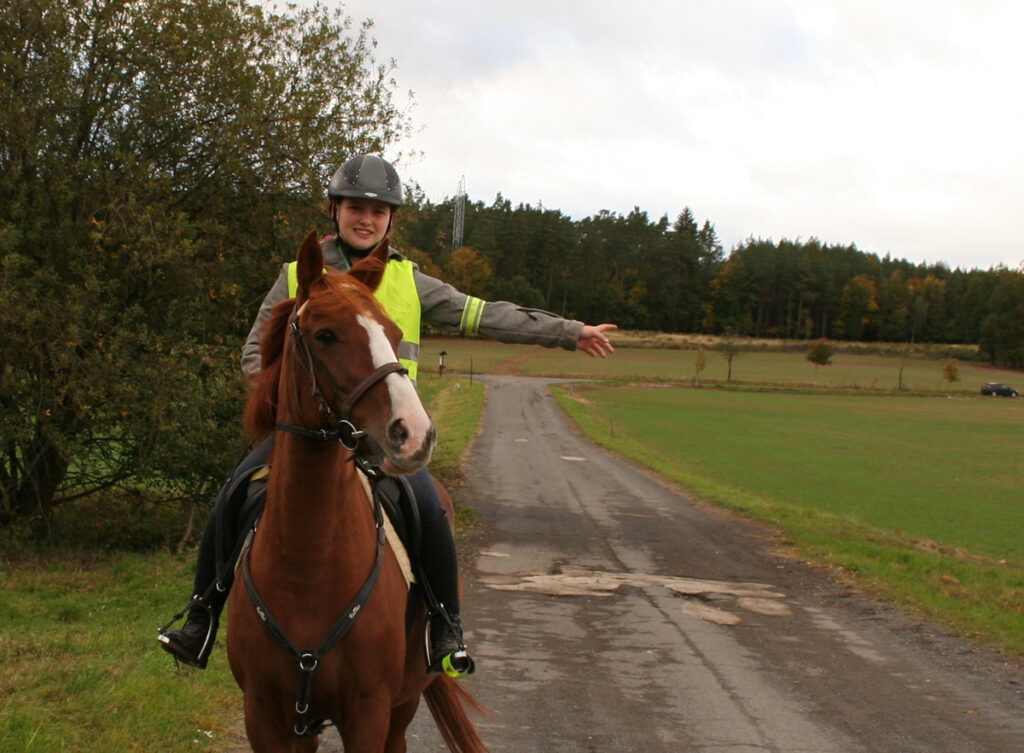 KDYŽ JEDE KŮŇ PO SILNICI…(1. díl)