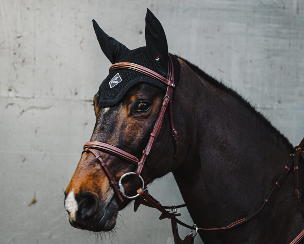 UZDA V BĚHU TISÍCILETÍ