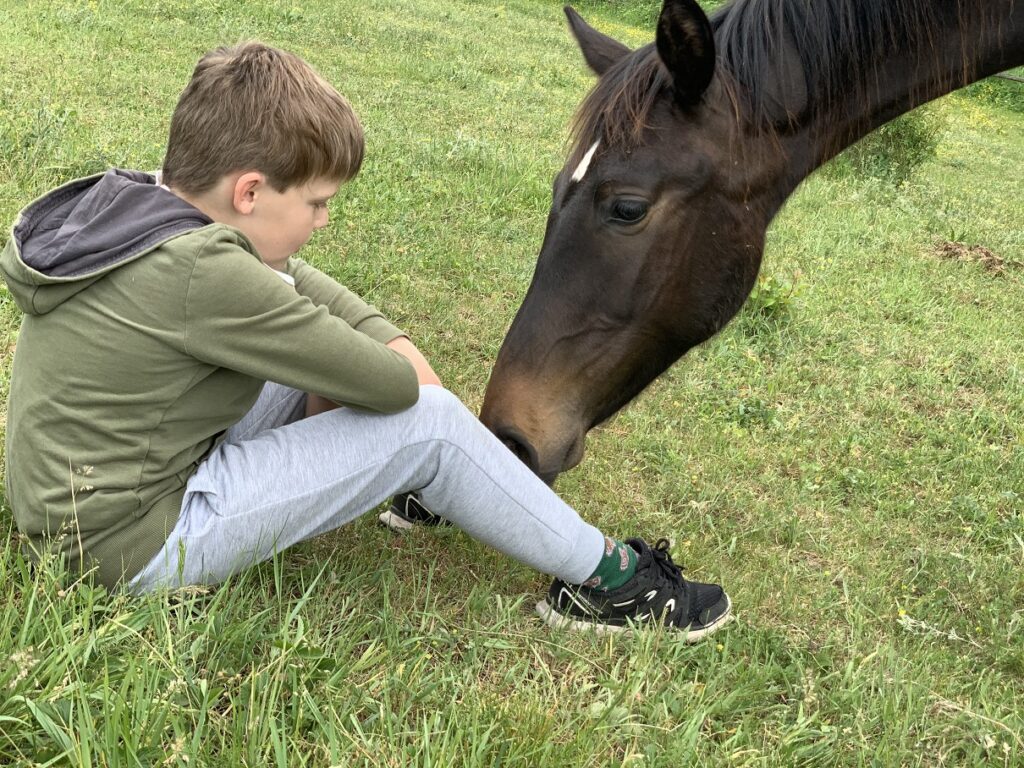 Chlapec sedící na pastvině a kůň.
