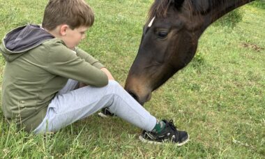 Chlapec sedící na pastvině a kůň.