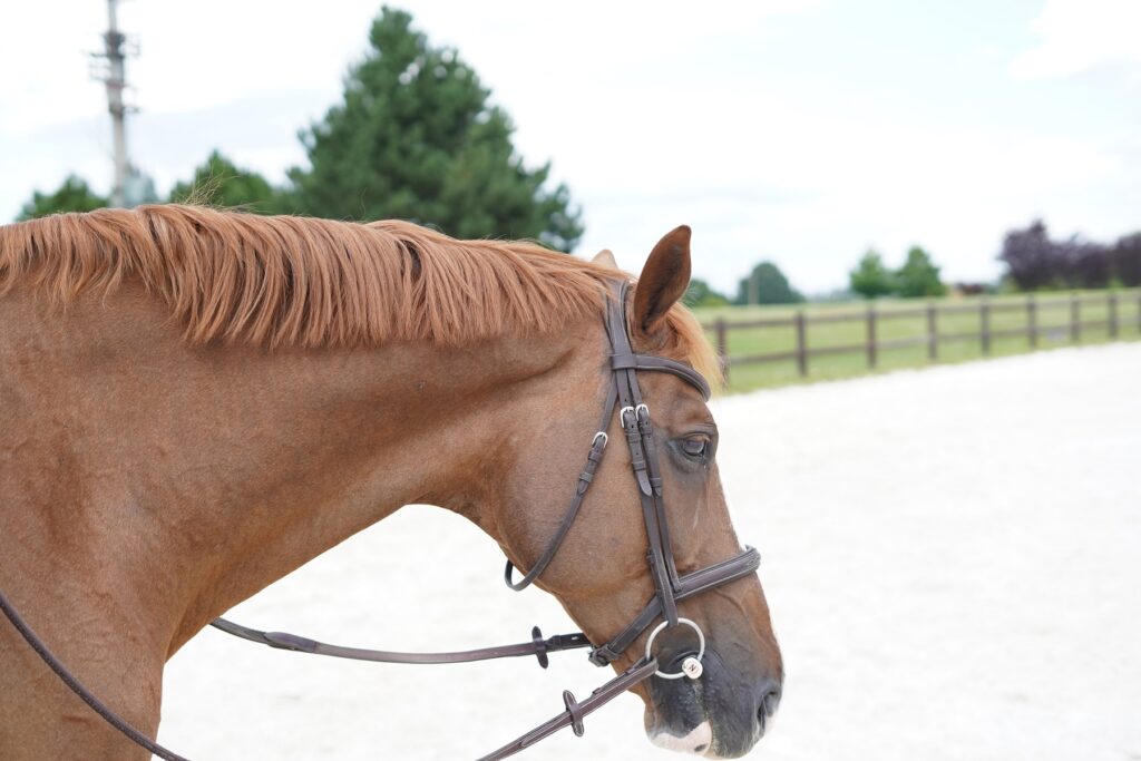 PASUJEME UZDEČKU – JAK NA TO?