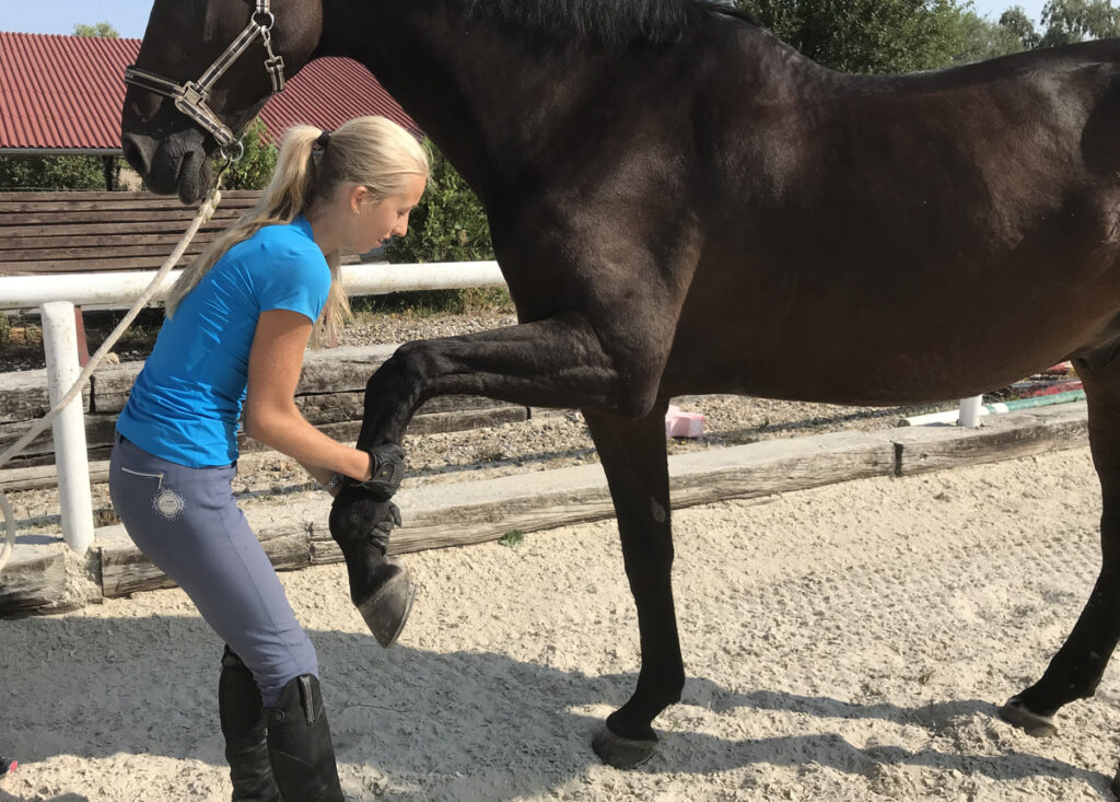 DORNOVA METODA VS. CHIROPRAXE