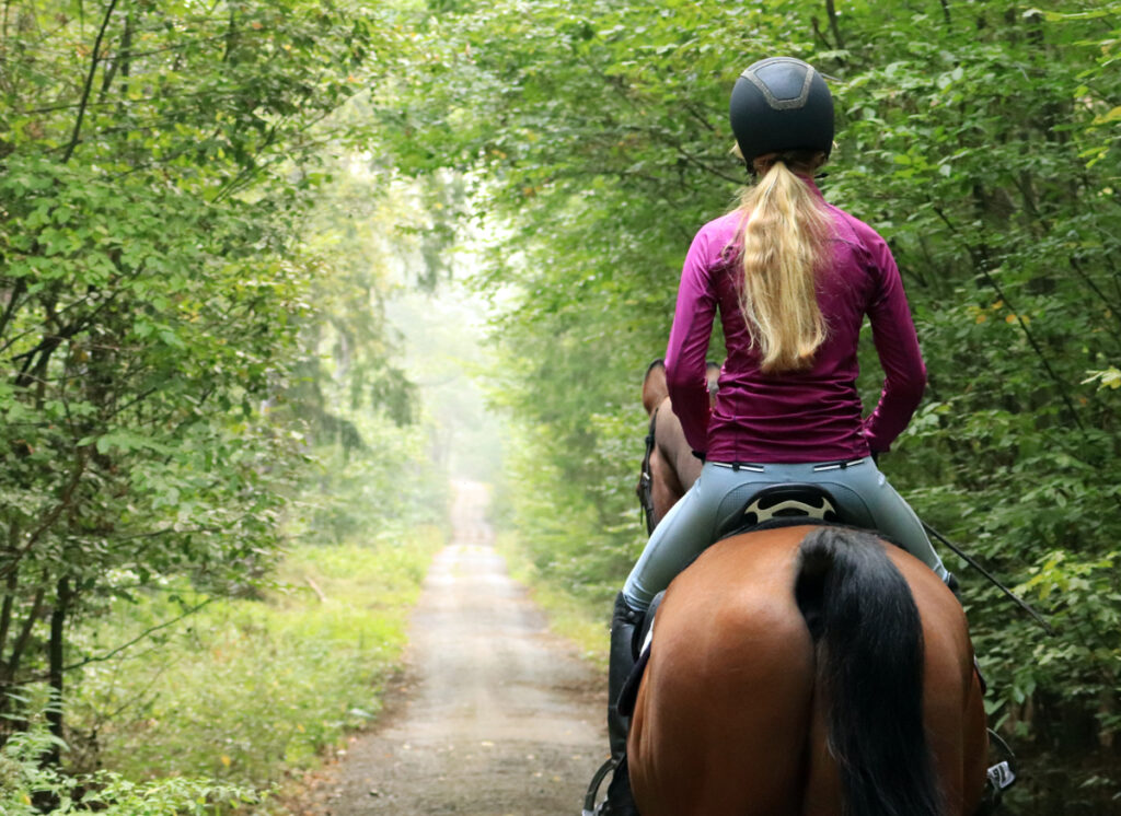 POŠLETE NÁM SVŮJ PŘÍBĚH Jezdkyně na koni v mlhavém lese.