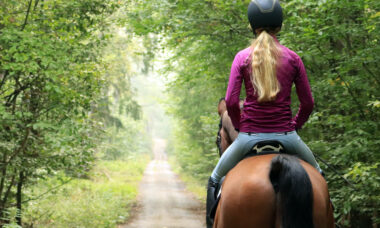 Jezdkyně na koni v mlhavém lese.
