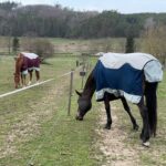 Letní kombinovaná deky pro koně