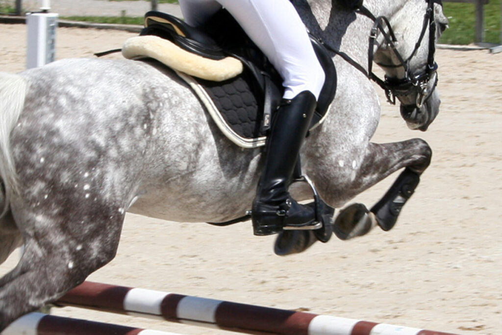 SÍLA ZÁMĚRU NÁS ŽENE DÁL