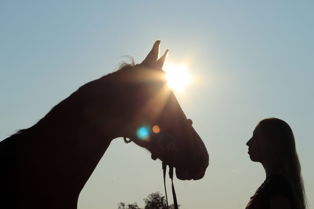7 TIPŮ JAK KONÍM ULEVIT V HORKU Kůň a dívka v letním podvečeru