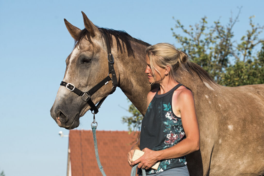 AKTIVNÍ KONĚ V AKTIVNÍCH STÁJÍCH