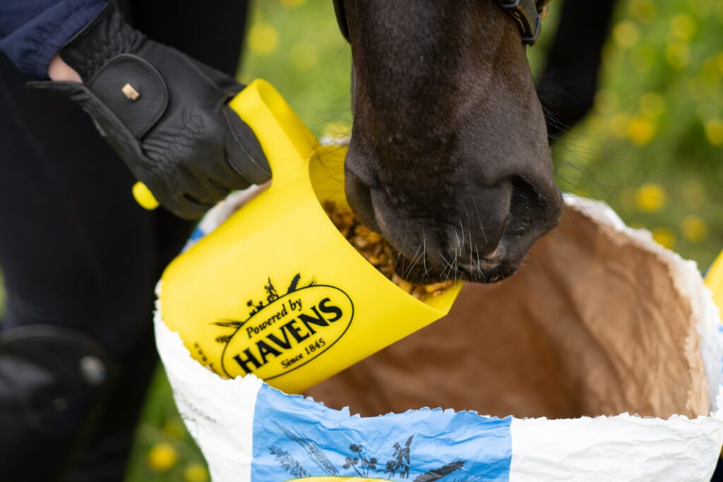 7 OTÁZEK KOLEM KRMENÍ KONĚ