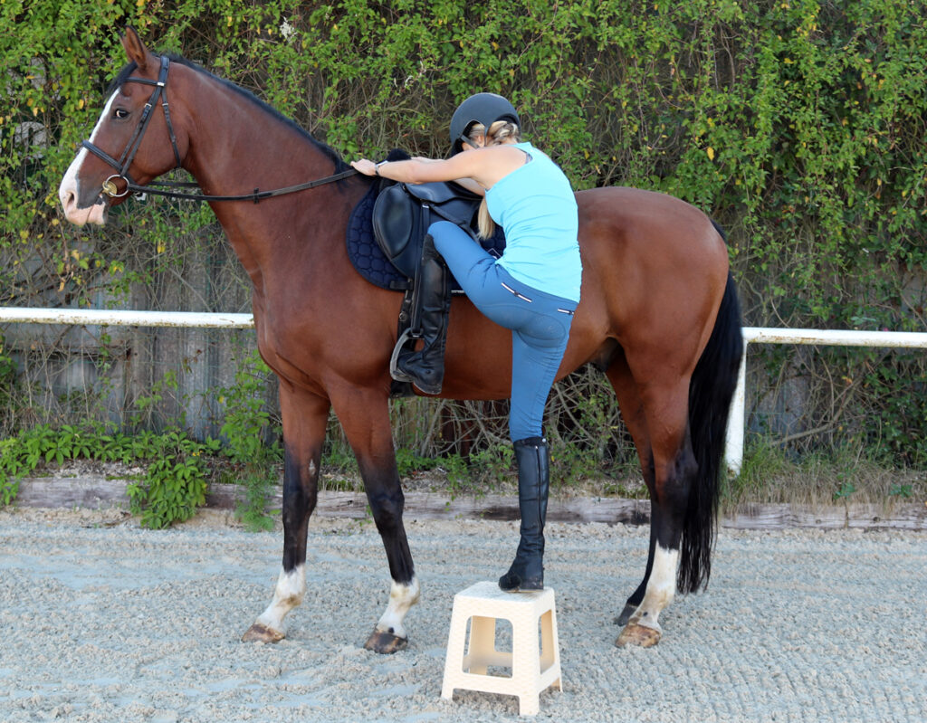 VZHŮRU DO KOŇSKÉHO SEDLA