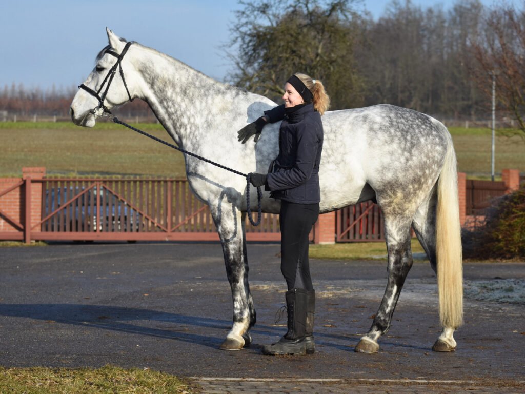 KŮŇ JE PARŤÁK S VLASTNÍ OSOBNOSTÍ