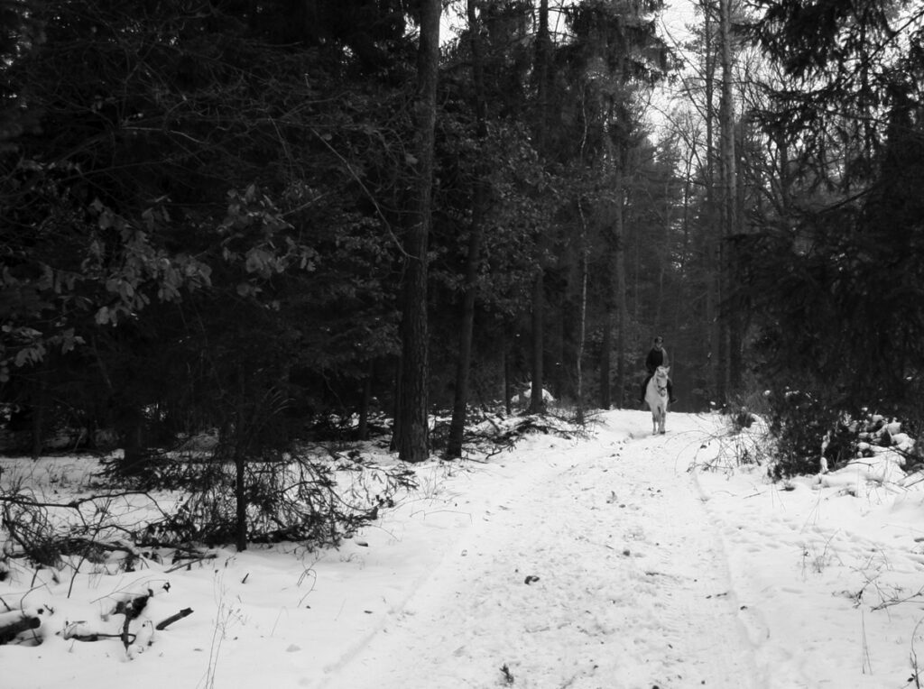 TERMORAJTKY. A ZIMA JE PRYČ!