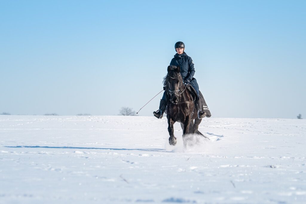 JAK NA KONI NEZMRZNOUT