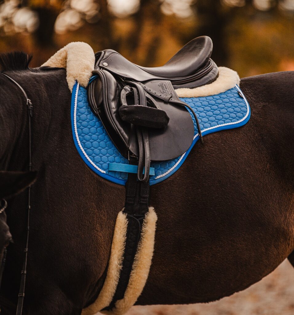 CO SE STANE, KDYŽ SEDLO ŠPATNĚ SEDÍ sedlo mattes