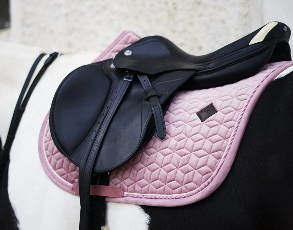 PODSEDLOVÁ DEČKA – TO DŮLEŽITÉ POD SEDLEM