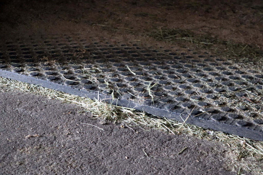 PODLAHA V BOXE JE ZÁKLAD