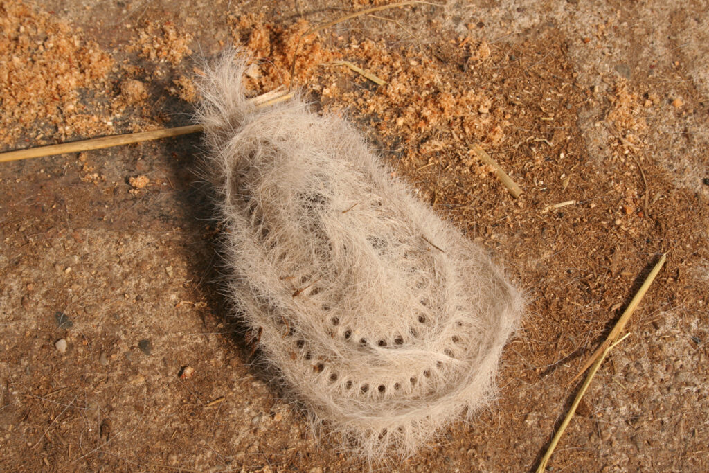 JAK URYCHLIT JARNÍ LÍNÁNÍ