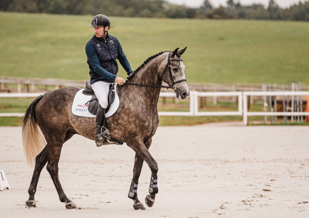 JEZDECKÉ POVRCHY POD DROBNOHLEDEM