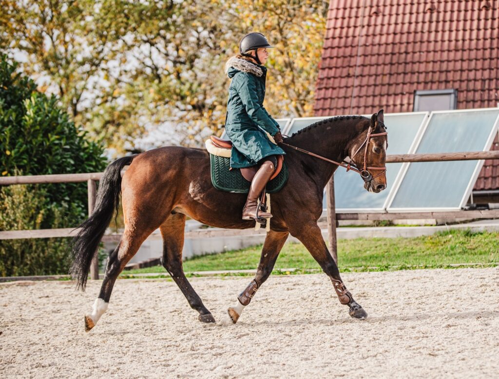 TŘESENÍ HLAVOU U KONÍ – HEADSHAKING