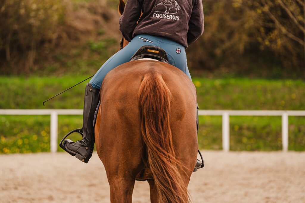 PŘÍČINY KŘIVOSTI U KONÍ