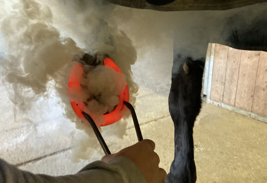 VÝHODY A NEVÝHODY PODKOVÁNÍ ZA TEPLA