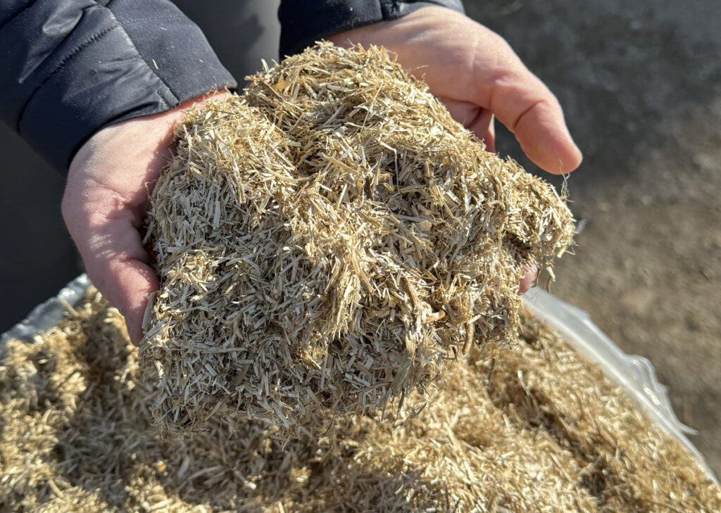 ZKUŠENOSTI S LNĚNOU PODESTÝLKOU