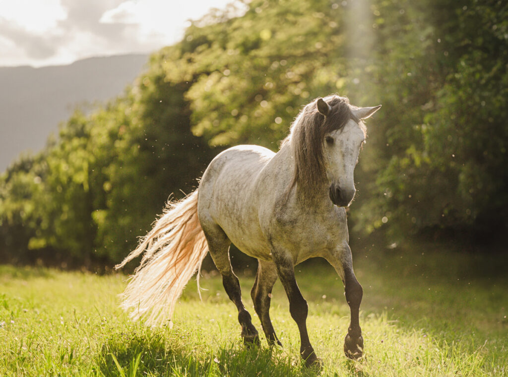 MYOPATIE NENÍ JEN JEDNA