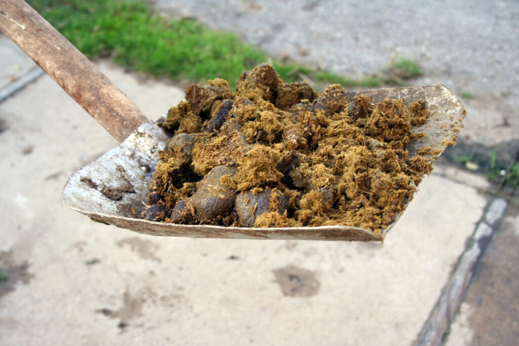 KOŇSKÉ „KOBLIHY“ JAK JE NEZNÁTE