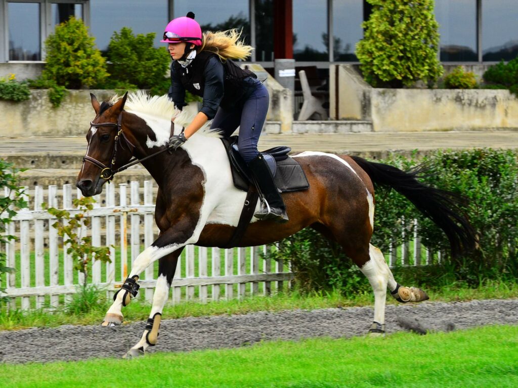 JAK RYCHLE MŮŽE BĚŽET KŮŇ