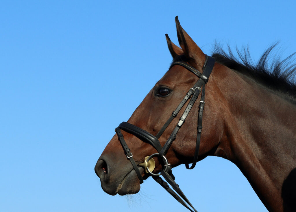 KISSING SPINES – DIAGNOSTIKA A LÉČBA