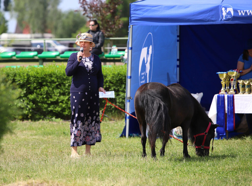 KE KOMENTOVÁNÍ JSEM SE DOSTALA NÁHODOU