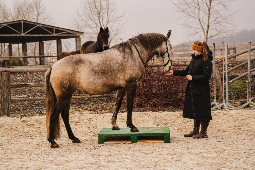PRÁCE ZE ZEMĚ JE UŽITEČNÁ ZÁBAVA