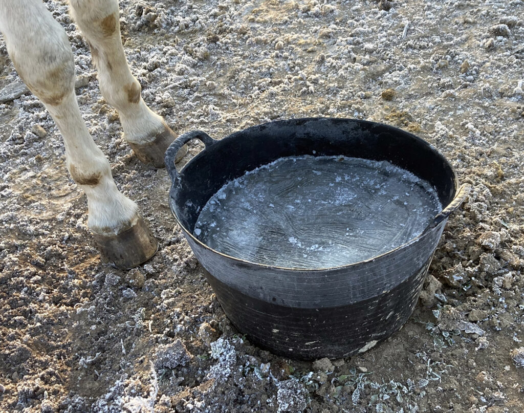 JAK UDRŽET KONĚ I BĚHEM ZIMY HYDRATOVANÉHO