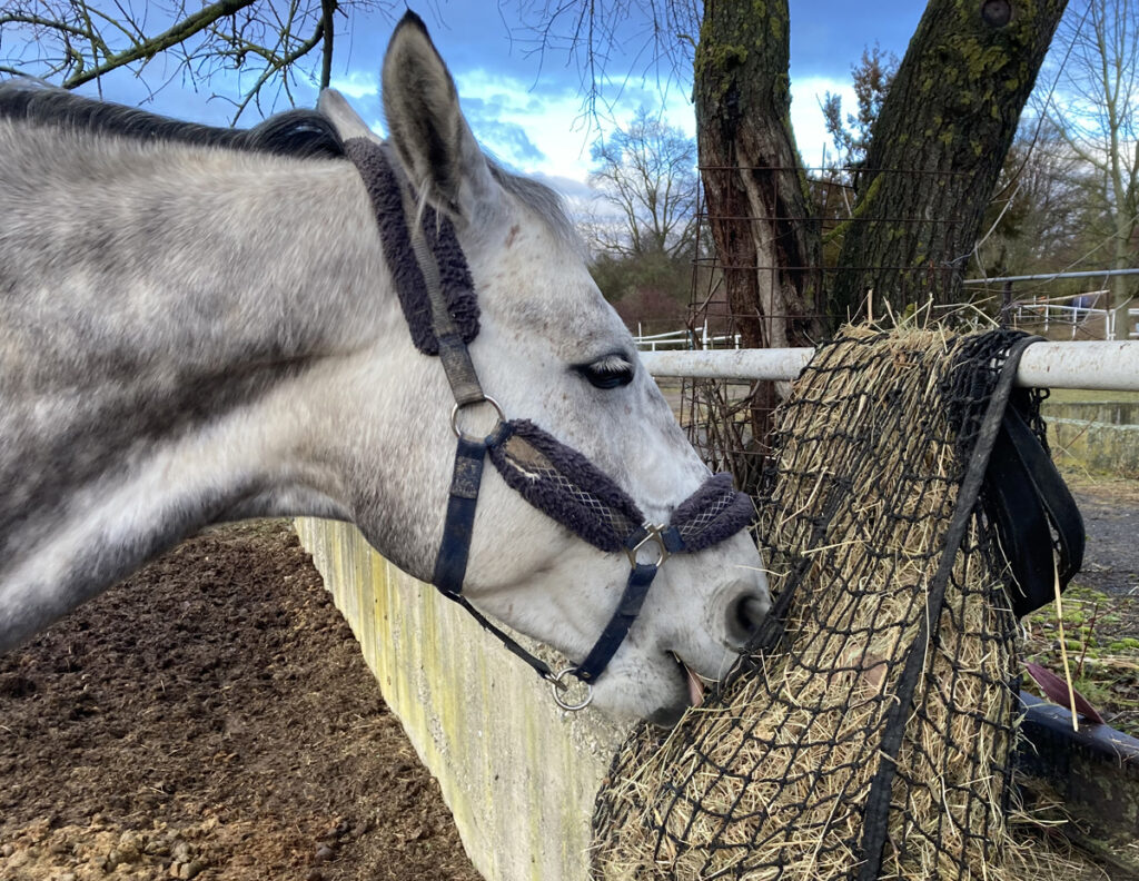 SÍTĚ NA SENO A POMALÉ KRMENÍ