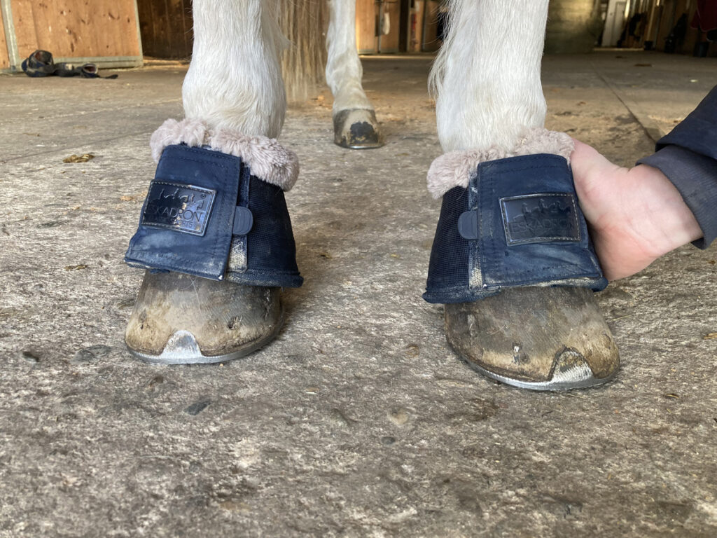 ZVONY – PRAKTICKÁ OCHRANA KOPYT