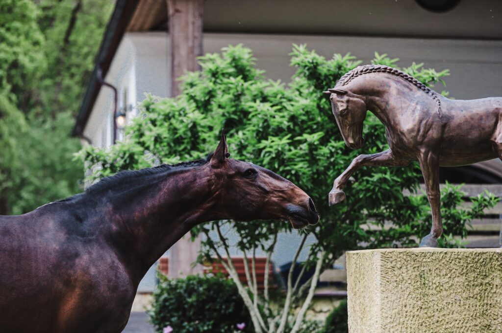 FOCENÍ KONÍ JE VELKÁ VÝZVA