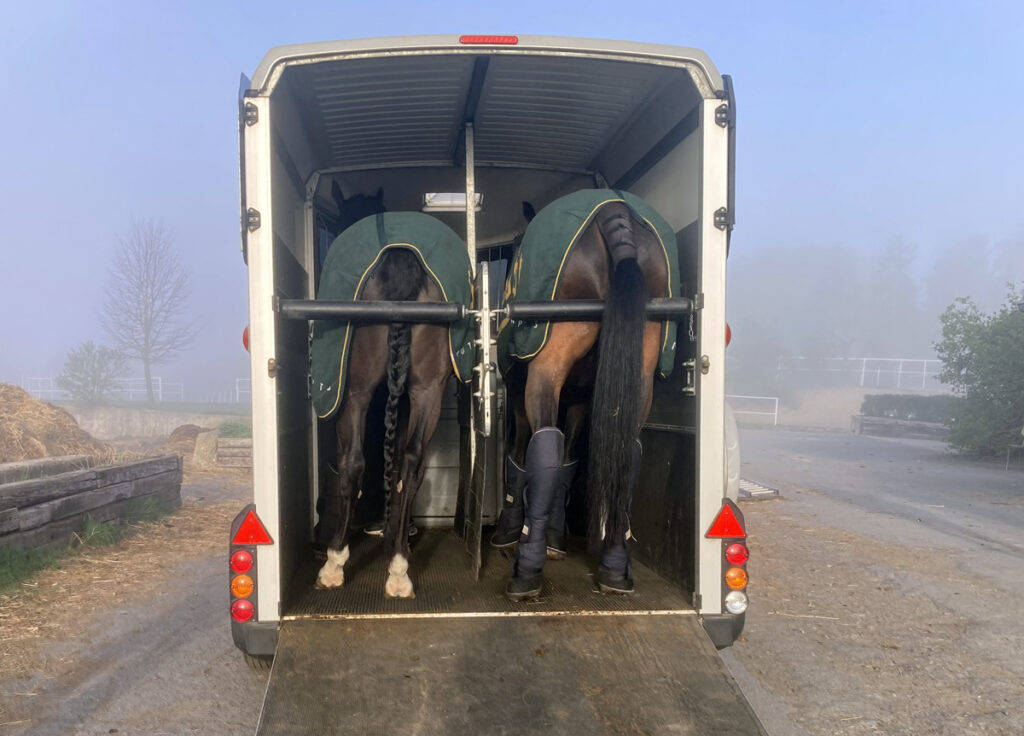 TIPY JAK NAUČIT KONĚ NASTUPOVAT DO PŘÍVĚSU