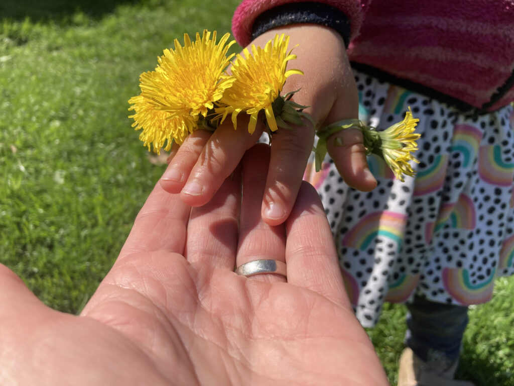 LESNÍ ŠKOLKA – DĚTSTVÍ V LESE JE DAREM DO ŽIVOTA