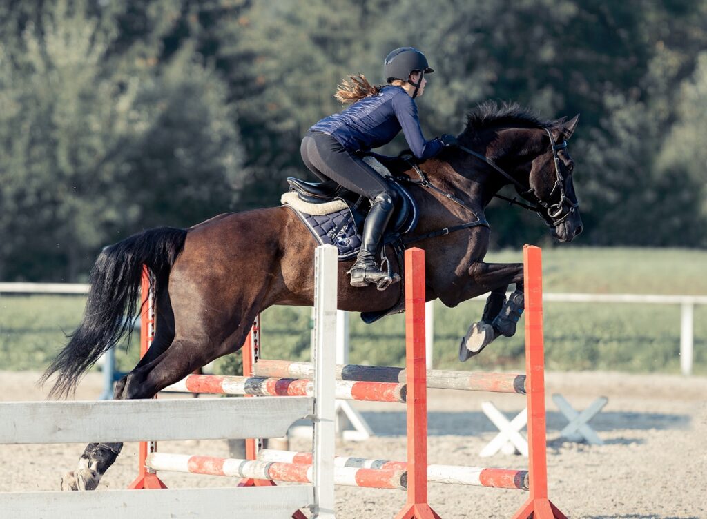 PROČ PODÁVAT KONÍM ELEKTROLYTY