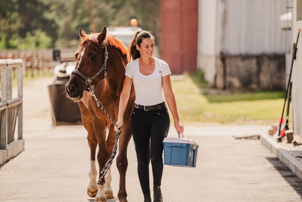 JAK NA PRÁCI S KOŇMI V HORKU
