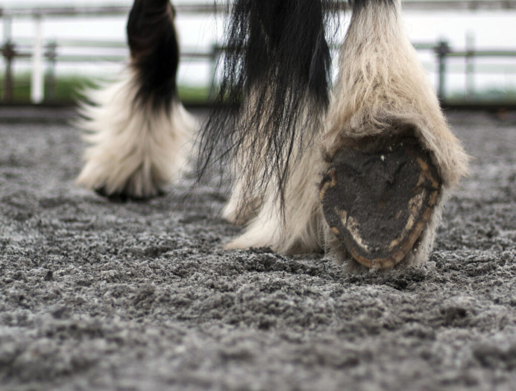PŘECHOD NABOSO – PŘEHLEDNĚ KROK ZA KROKEM